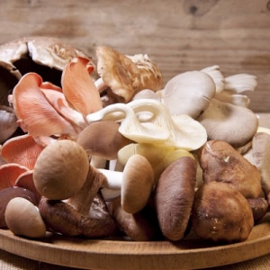 Tipos de Cogumelos / Funghis