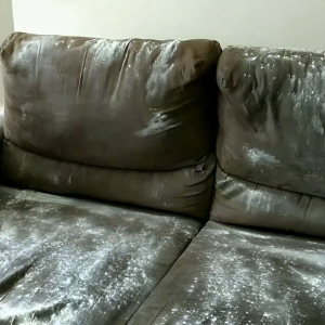 Como limpar sofá encardido sem gastar nada usando ingredientes que você tem em casa