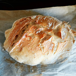 Pão de trigo