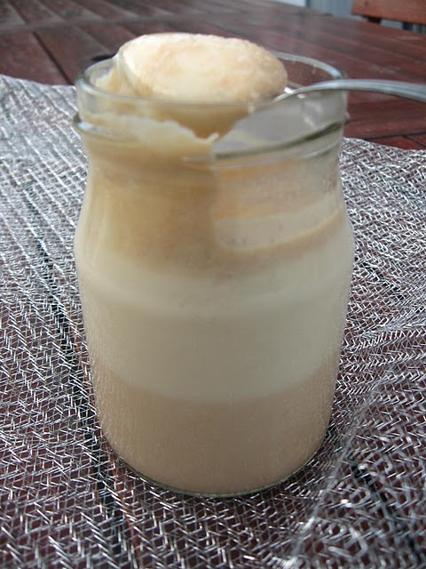 Yogurtes de Bolacha Maria