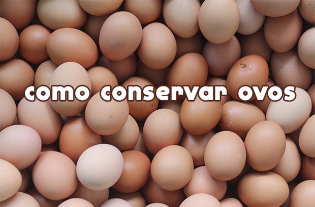Como Conservar Ovos