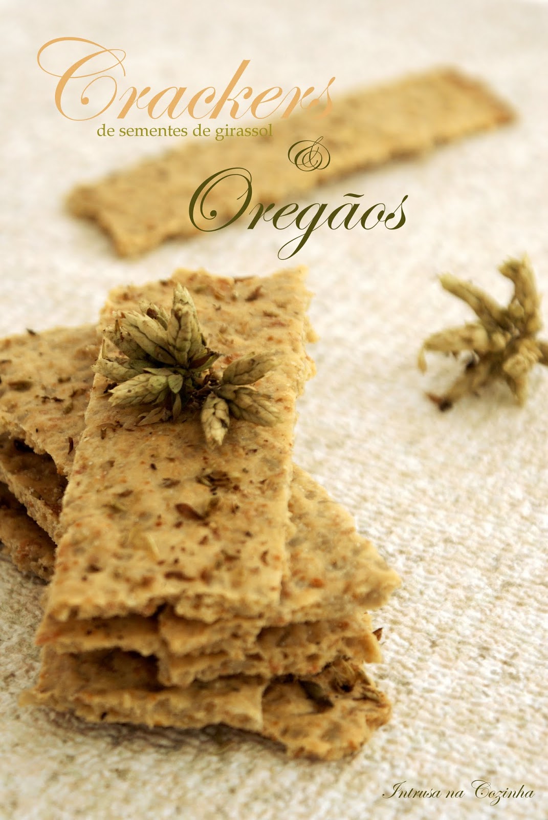 Crackers de Sementes de Girassol e Oregãos