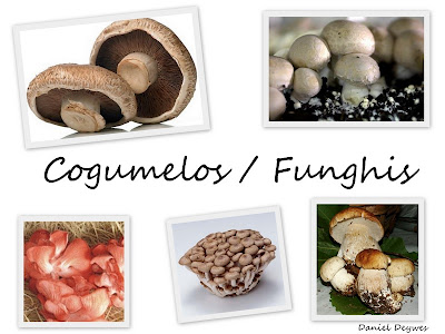 Cogumelos / Funghis