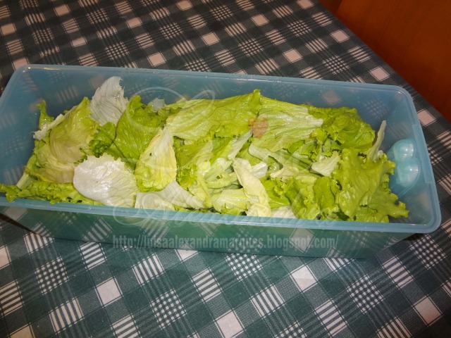 Alface pronta para Salada