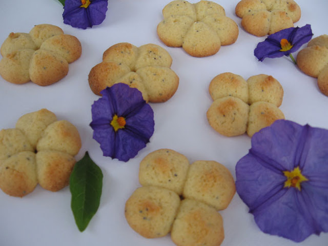 Biscoitos de Limão e Sementes de Papoila (Dispara biscoitos)
