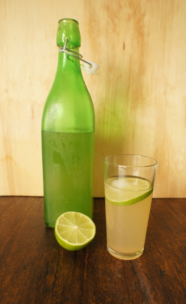limonada com hortelã e gengibre