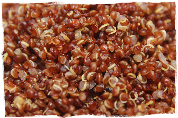 Quinoa – Receita Saudável e saborosa para Ceia de Ano Novo