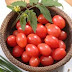 Plantando tomate - cereja