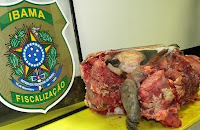 Ibama apreende carne de tartaruga com Secretário de Meio Ambiente